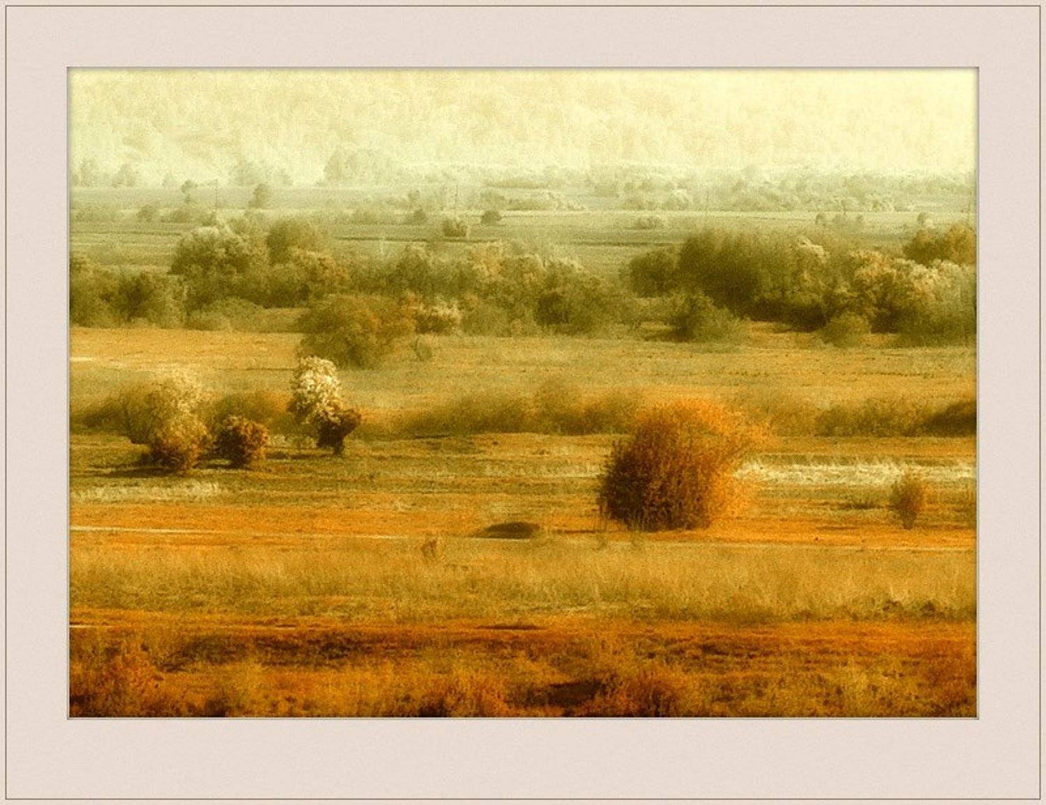 природа, томская, область, Albert SmirnoV