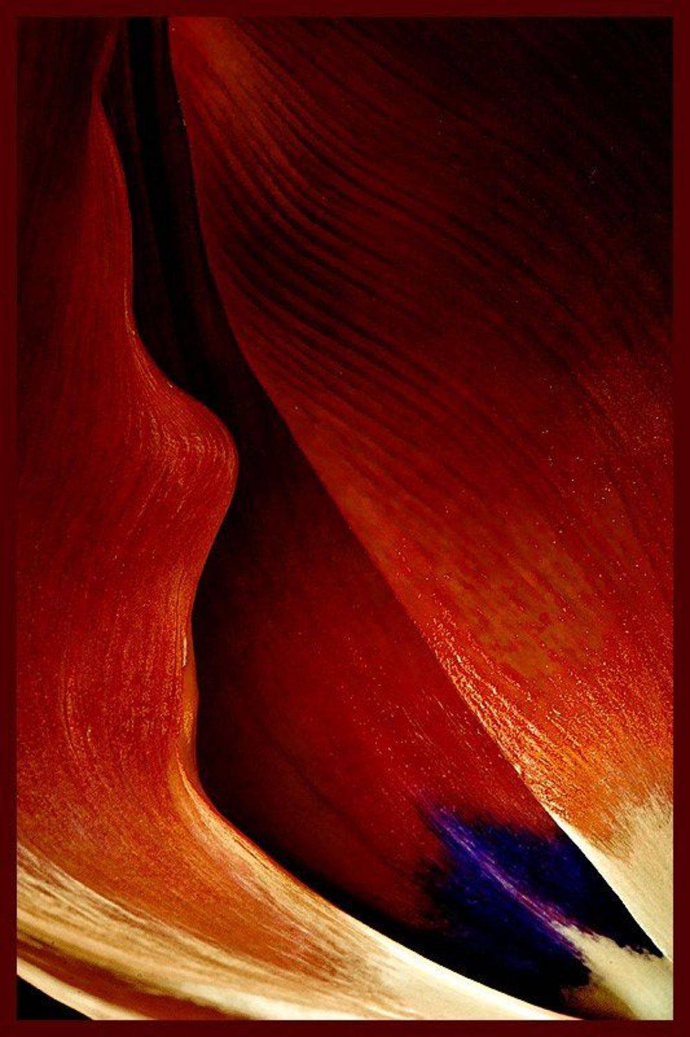 макро,цветы, ассоциации, Наталья Ревкина