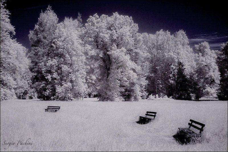 infrared summer #3 фото превью
