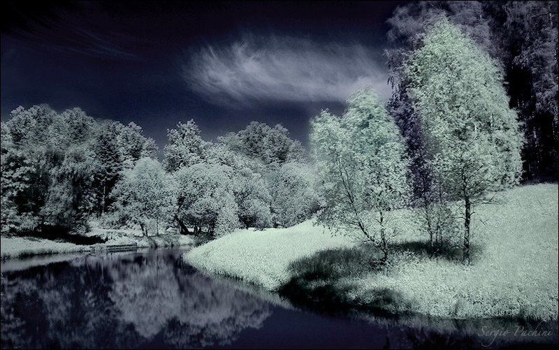 infrared summer #4 фото превью