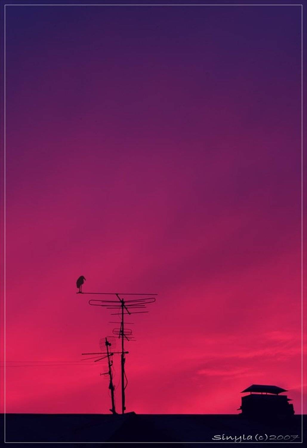 крыша дома, Сергей