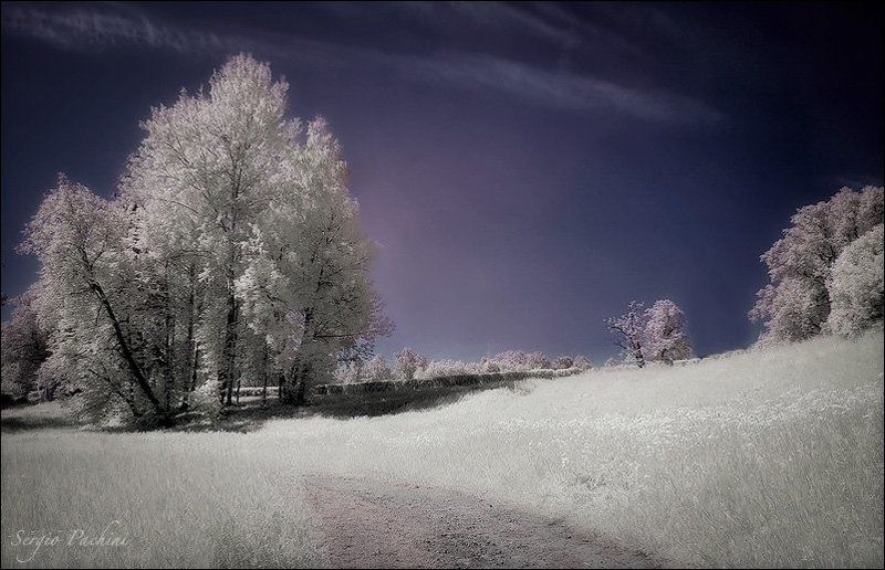 infrared summer #5 фото превью