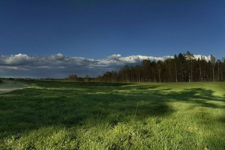 свобода,небо,лес,трава,поле,тени, Евгений Пугачев.