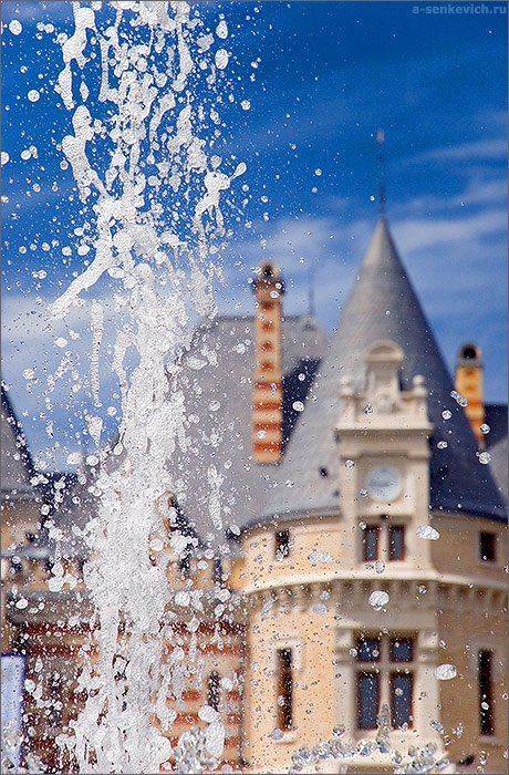 , Андрей Сенкевич