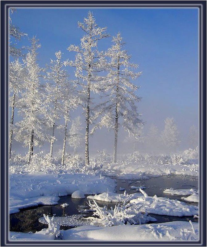 Непроходимые места фото превью