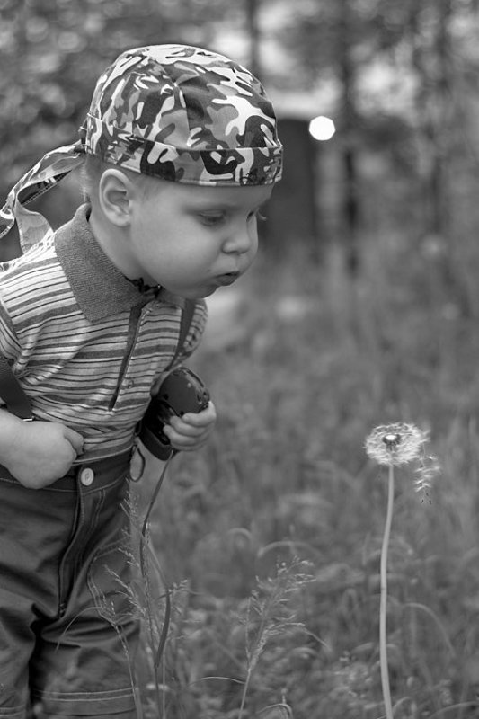 ребёнок, мальчик, одуванчик Пушистый? Щас исправим! фото превью