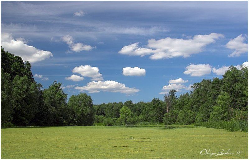 пруд, покровское-стрешнево Елизаветинские пруды. Заросший. фото превью