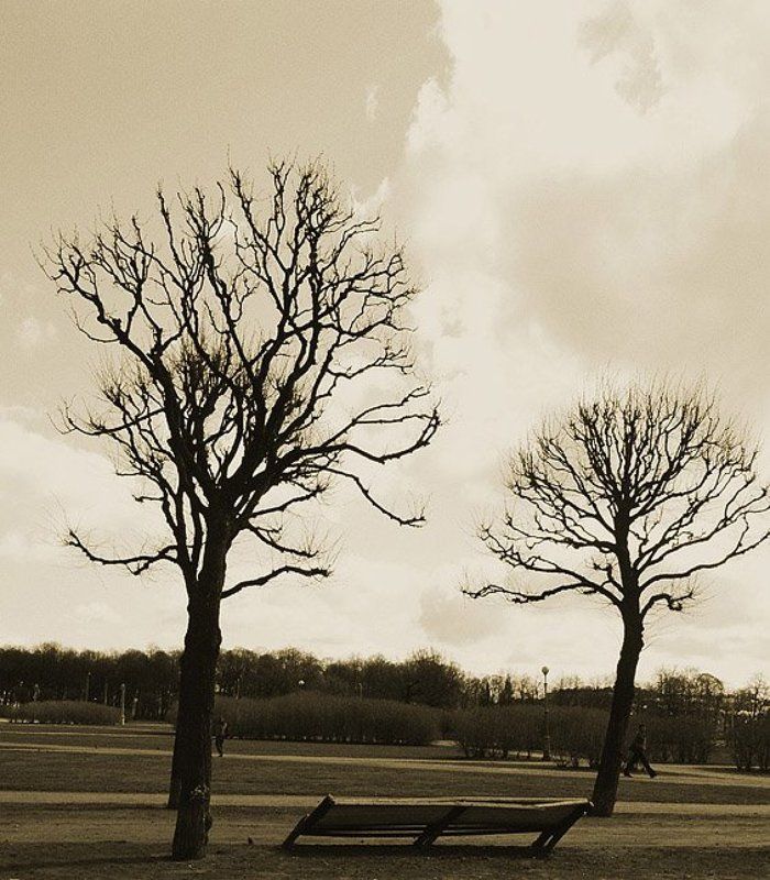 петербург, марсово поле, весна Косая как моя жизнь фото превью