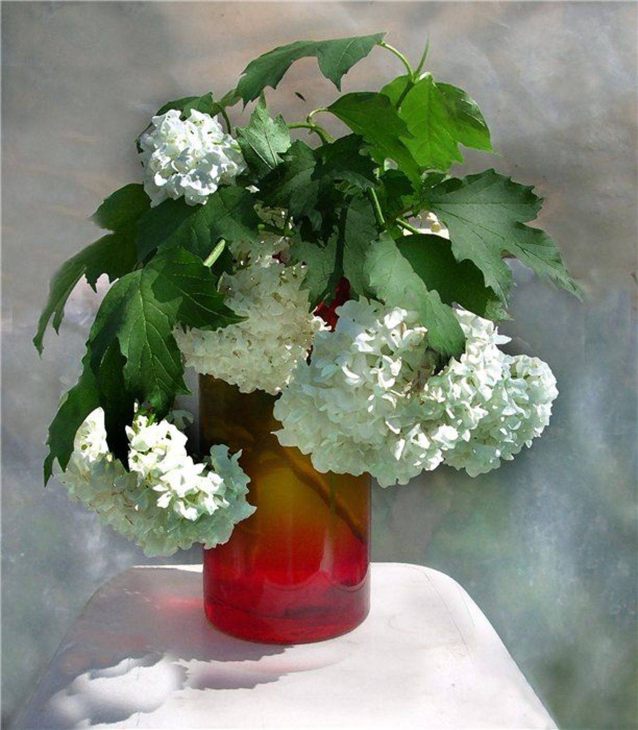 , Лариса Запатрина