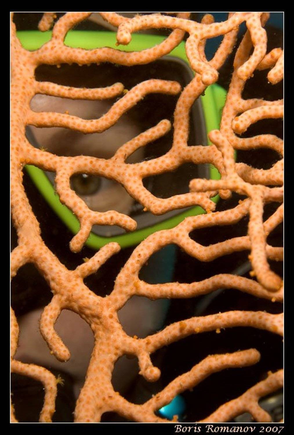 дайвинг гаргонария подводный портрет, Boris_Romanov