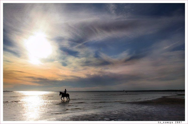 Купание коня в заливе фото превью