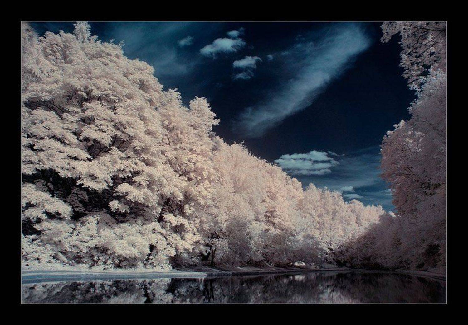 ик, infra red, инфракрасная съемка, Капустин Николай