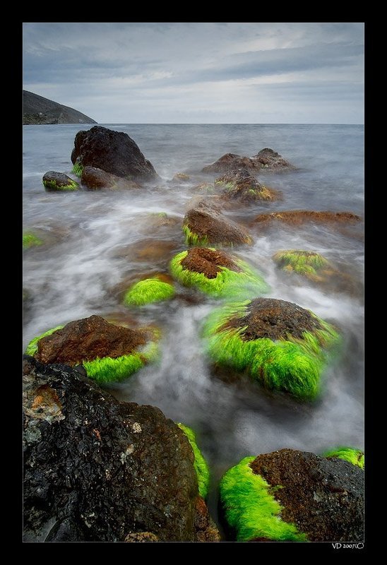 Step by Step фото превью