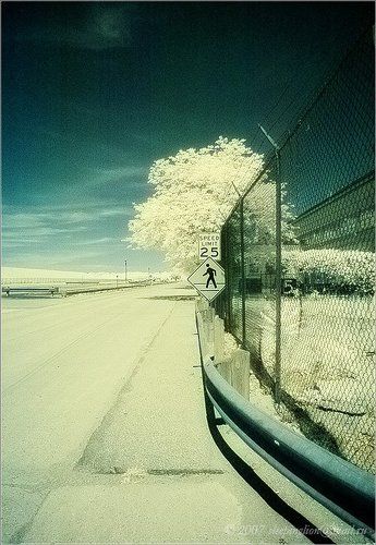 Шорох шагов...