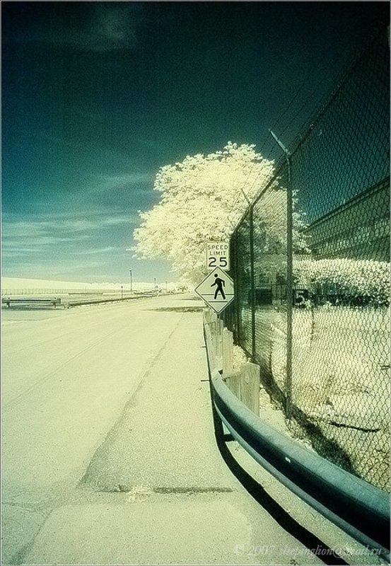 Шорох шагов... фото превью