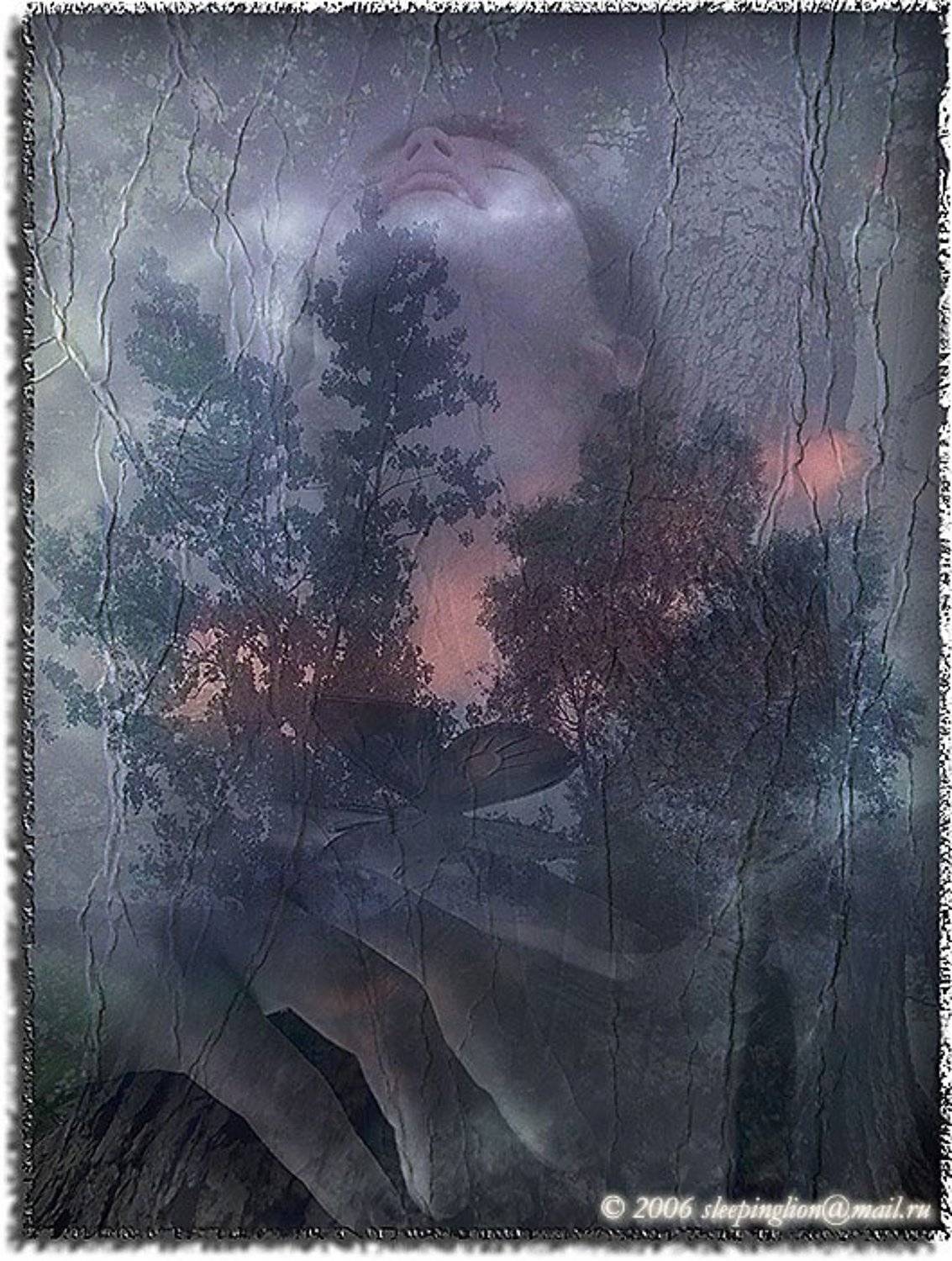 inside of my soul, Pilgrim