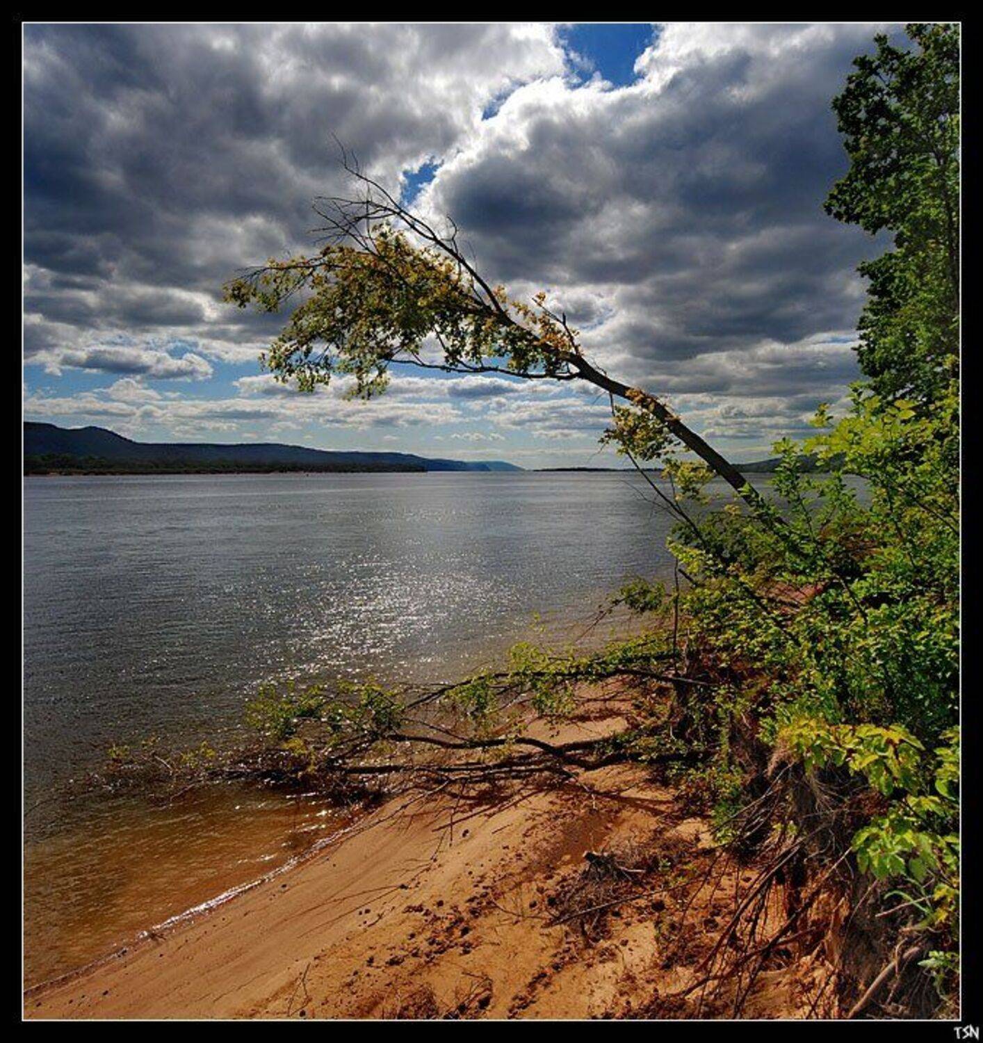 волга, Сергей Требунских