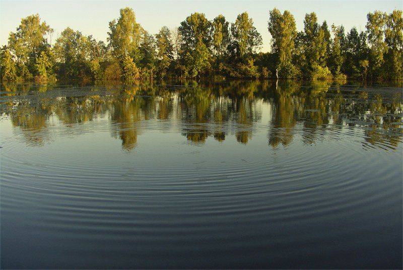 , Лунный Ежик