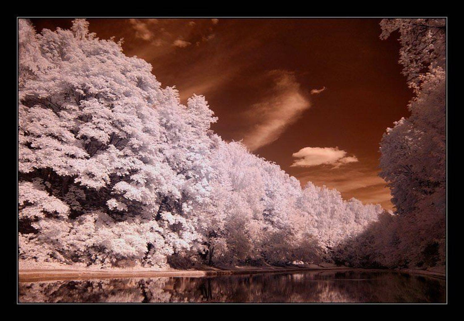 infrared, ик, инфра, Капустин Николай