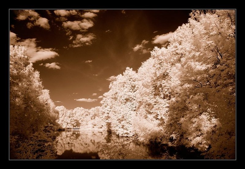 ик, infra red, инфракрасная съемка CINEREUS HIEMS фото превью