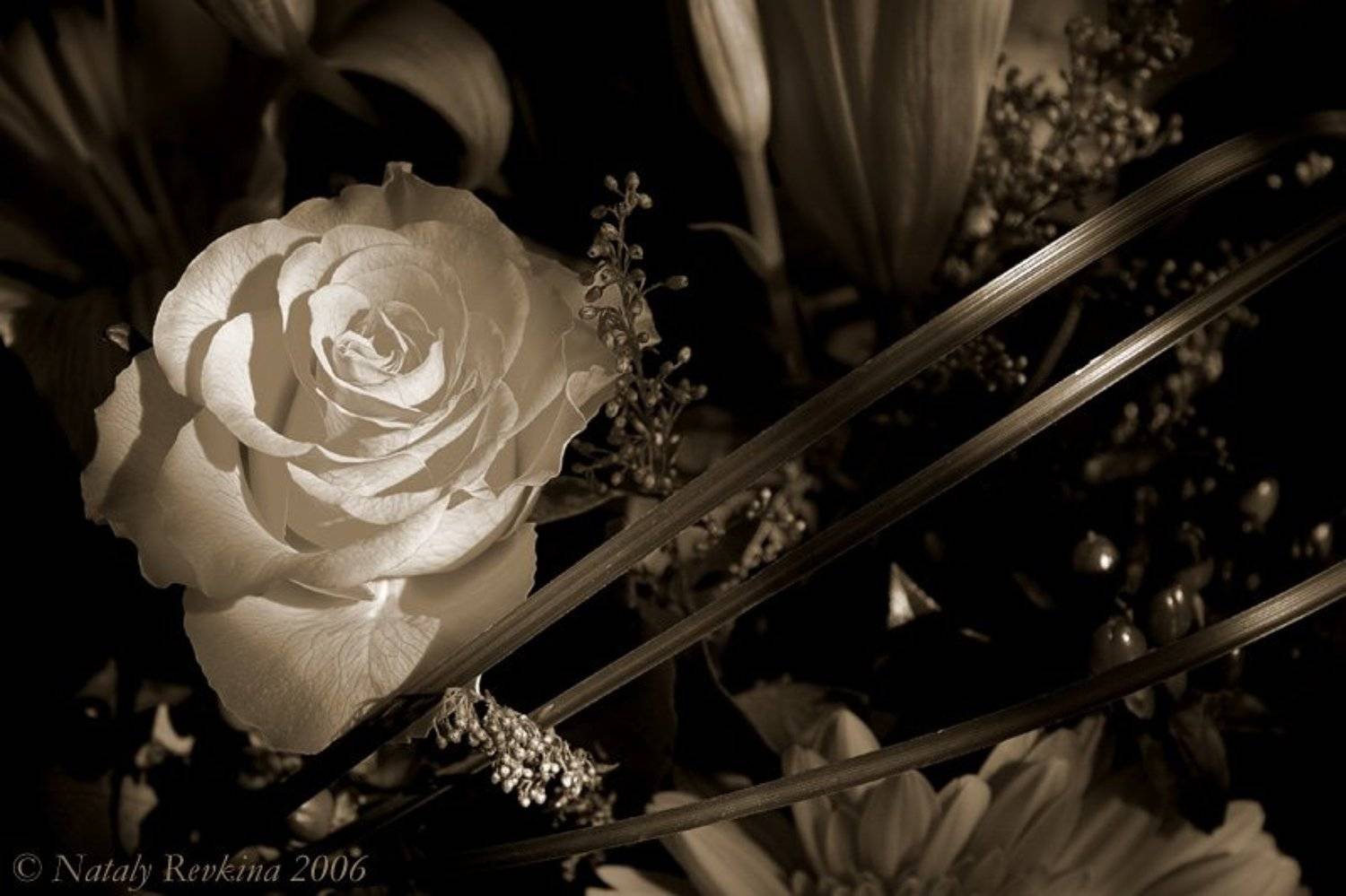 натюрморт,цветы,музыка, Наталья Ревкина