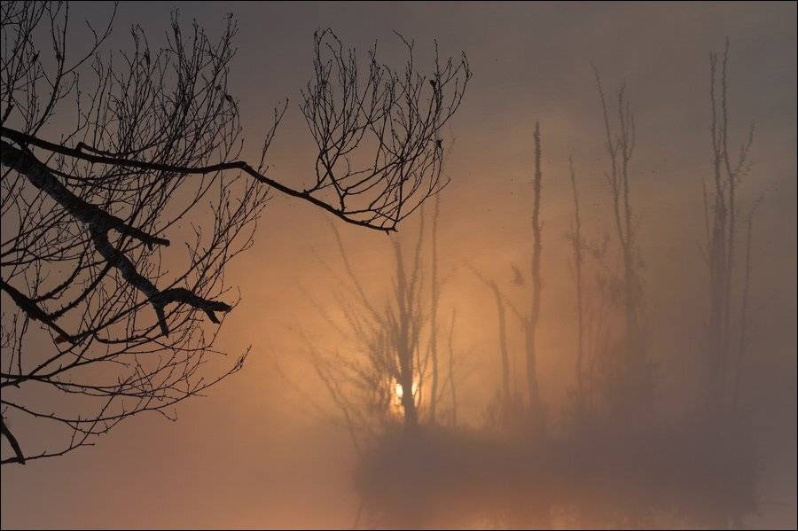 болото, Сергей Чубаров