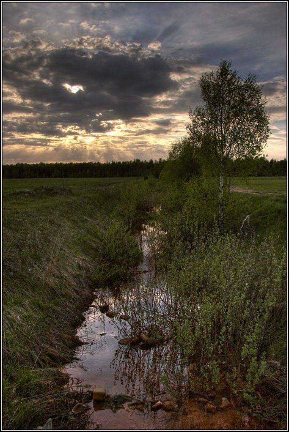 пейзаж, речка, поле, лес, закат, небо, луч, облако, дерево, береза, дорога, dyadyavasya, Дмитрий Шамин