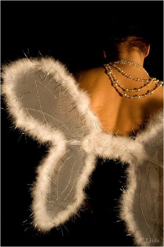 мотылек фото превью