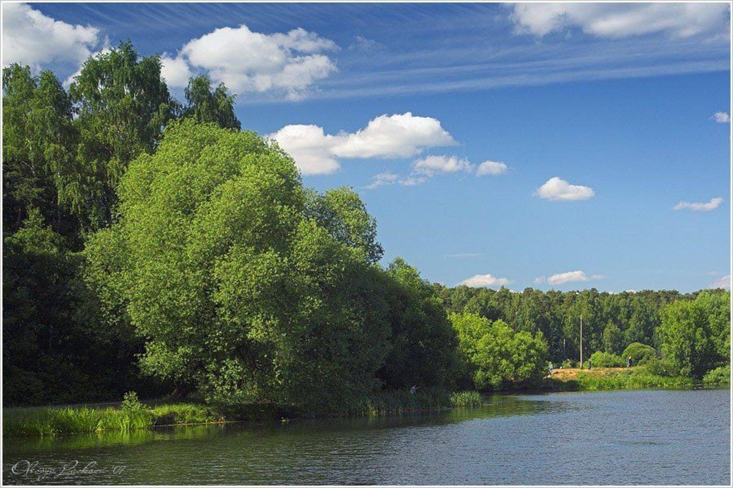 парк, лето, покровское-стрешнево, пруд, Олеся Ласкова