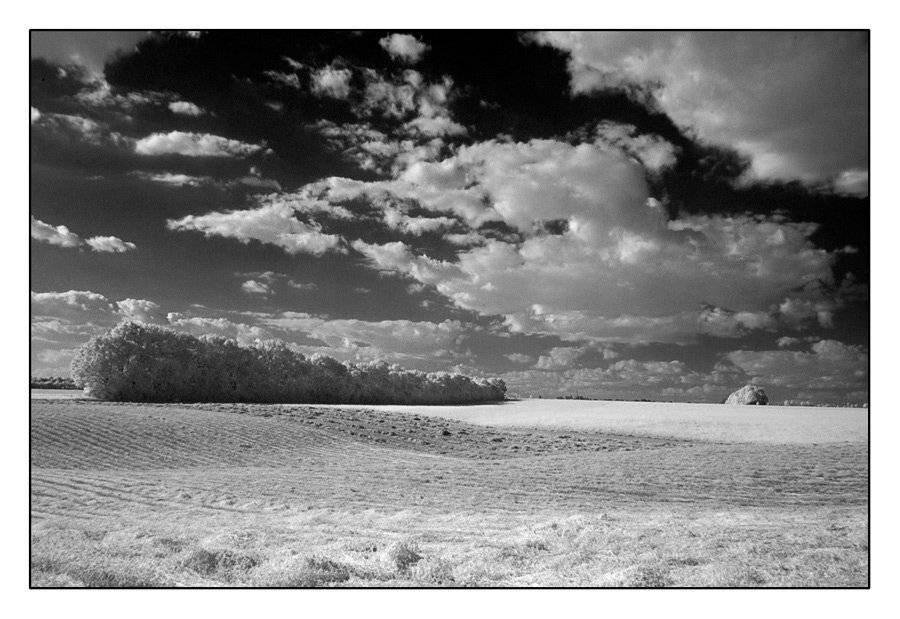 ик фото, Токарь Дмитрий