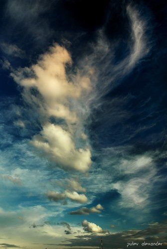 Гордый птиц....