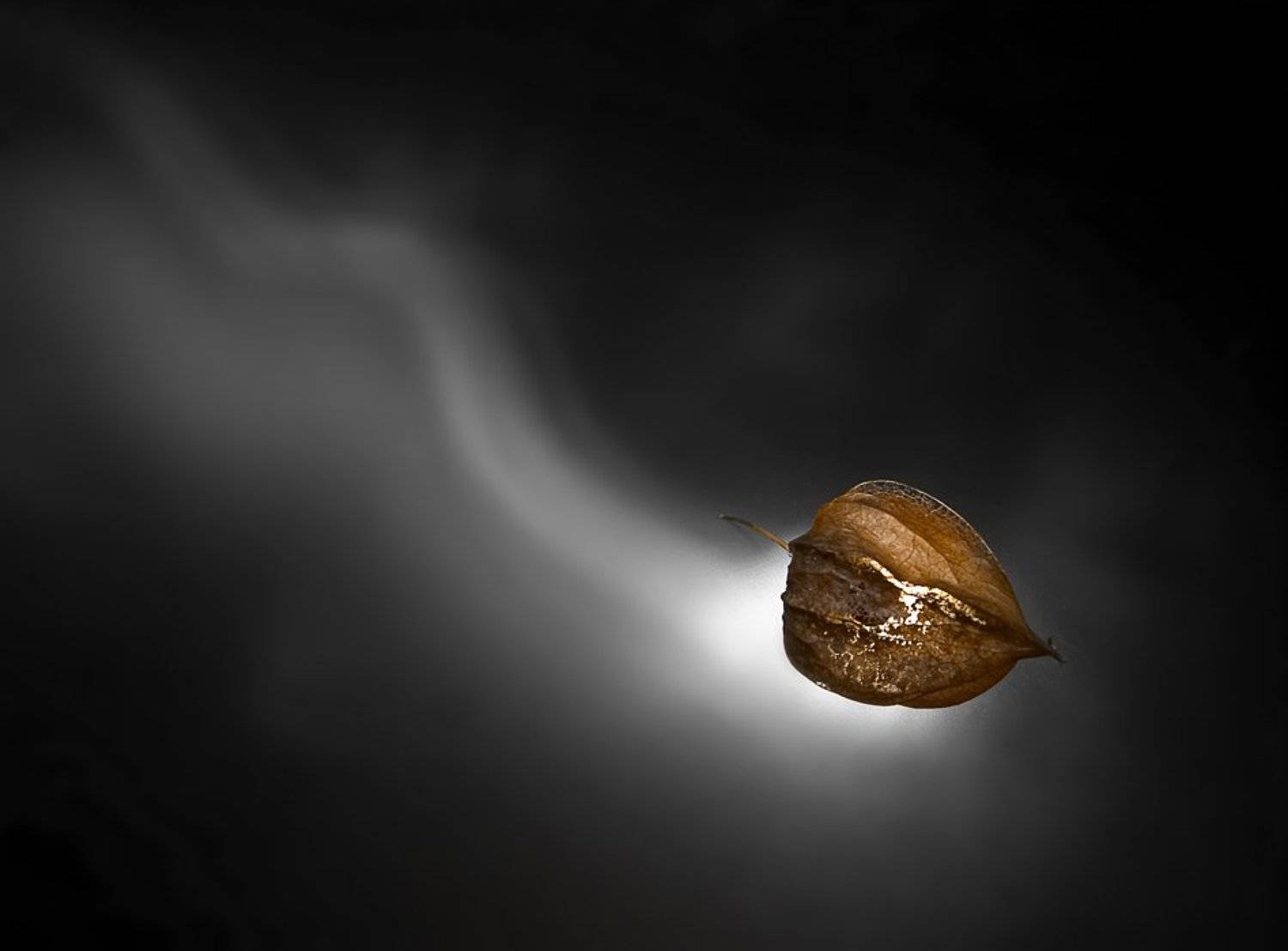 физалис, Milena