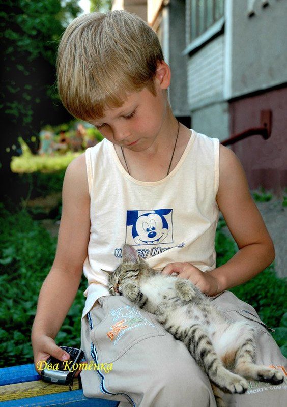 мальчик, котёнок, абсолютное доверие ДВА КОТЁНКА фото превью