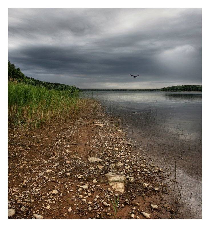 , Сергей Прокошин