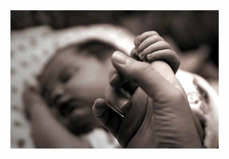 дети вечная тема, Eland