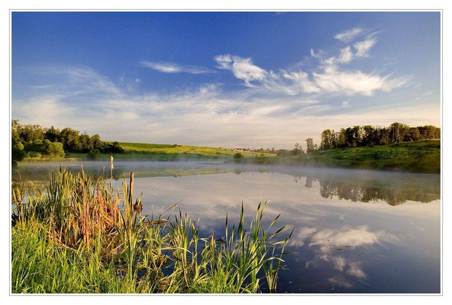 речка, десна, утро, вода, камыш, облака, Евгений Гаганов