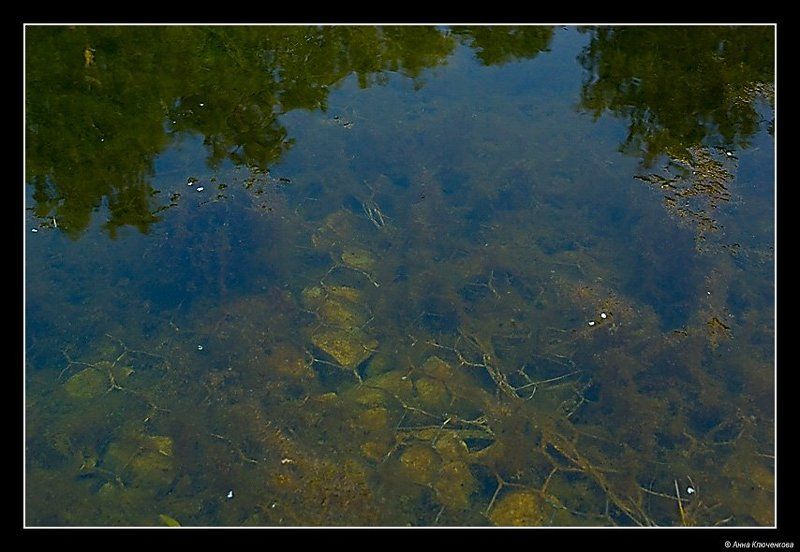 На дне фото превью