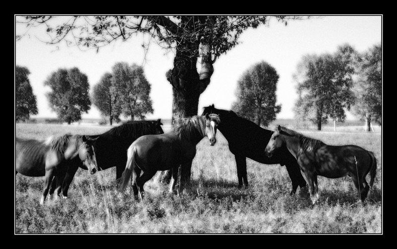 О мыслях... фото превью