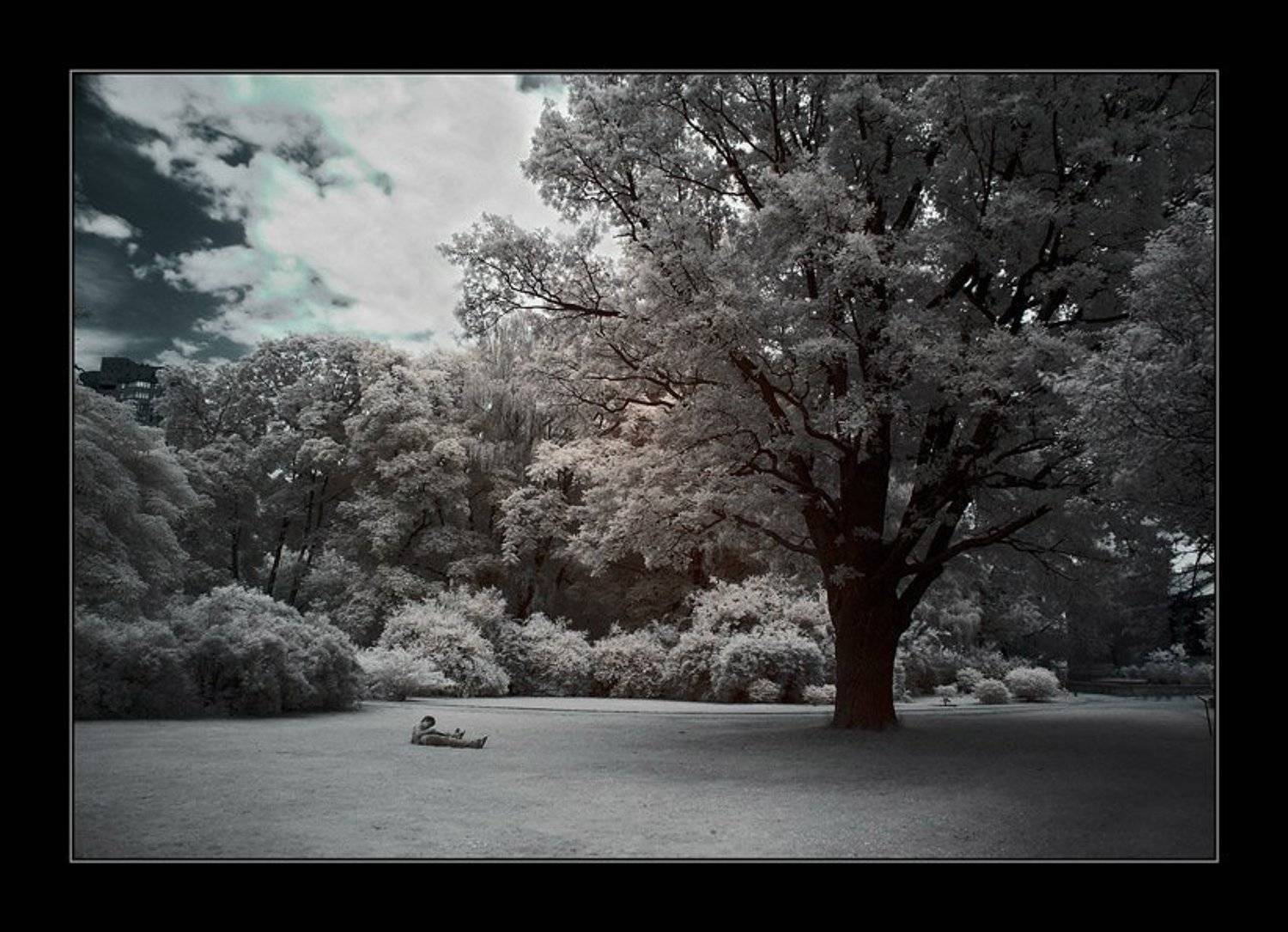 ик, infra red, инфракрасная съемка, Капустин Николай