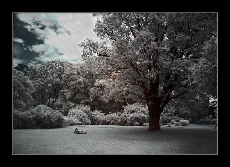 ик, infra red, инфракрасная съемка THE MYTH фото превью