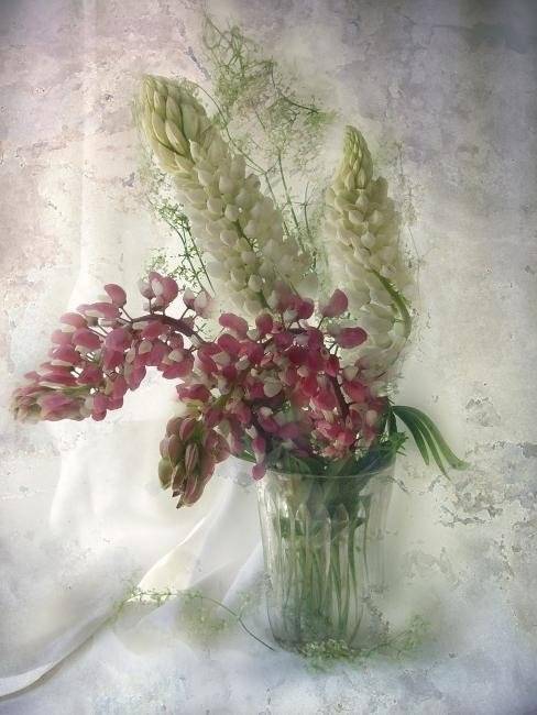 , Лариса Запатрина