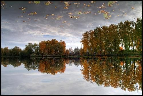 Летять перелётные листья....