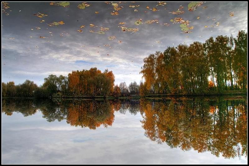 осень, вода, отражения, парк, hdr Летять перелётные листья.... фото превью