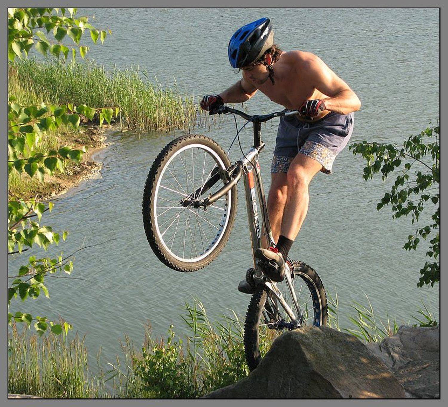 , Лунный Ежик