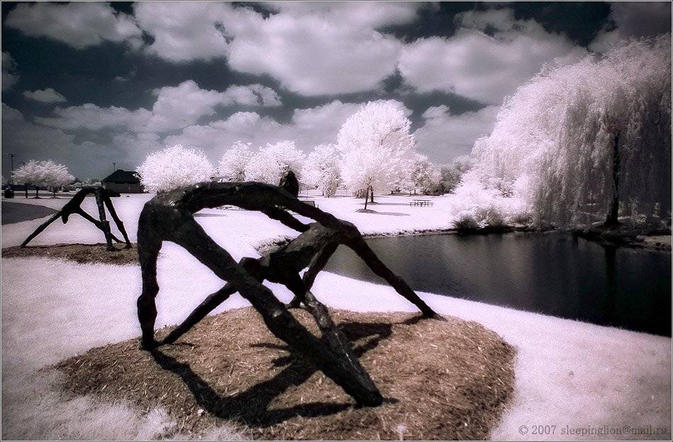 ик, пейзаж, infrared, инфракрасный, инфракрасное, pilgrim, Pilgrim