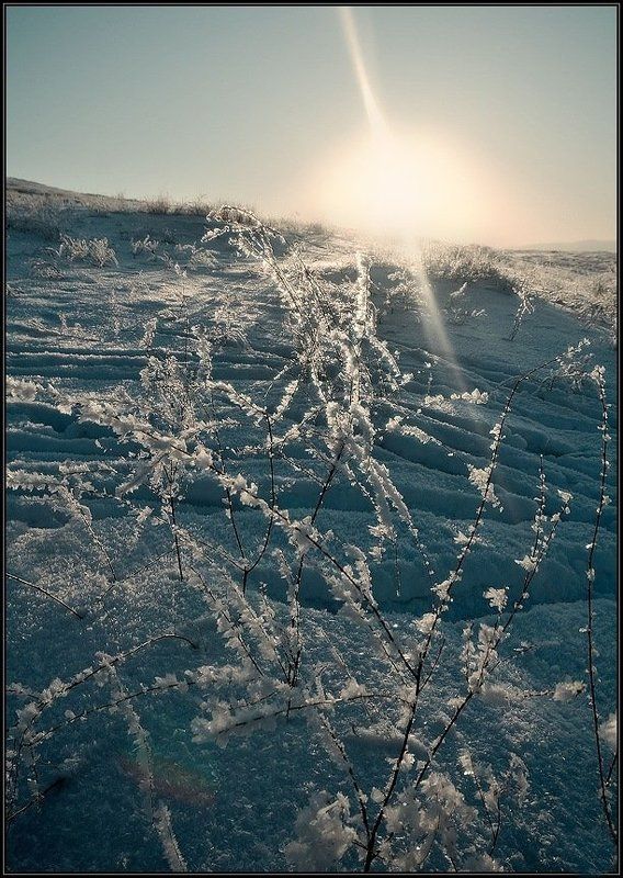 вечер, закат, зима, лед, снег, i_go Тонкая работа фото превью