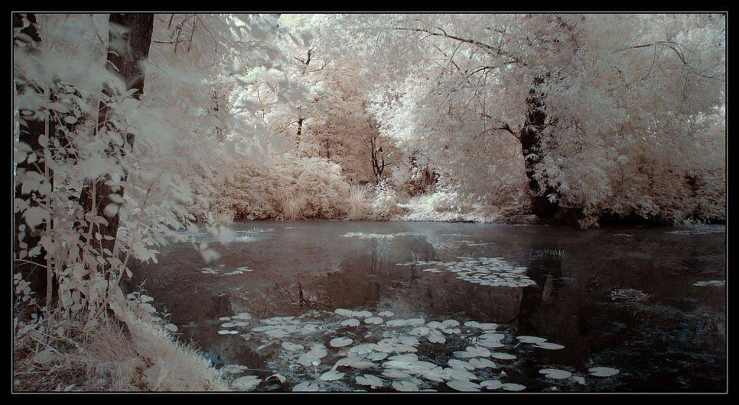 инфра, ик, infra red, Капустин Николай