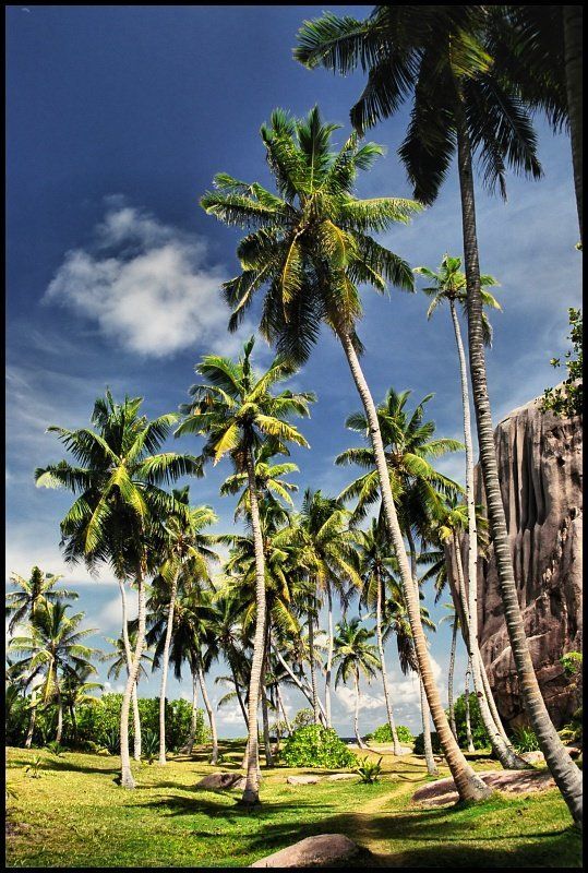 сейшельские острова Так, вспомнилось... фото превью