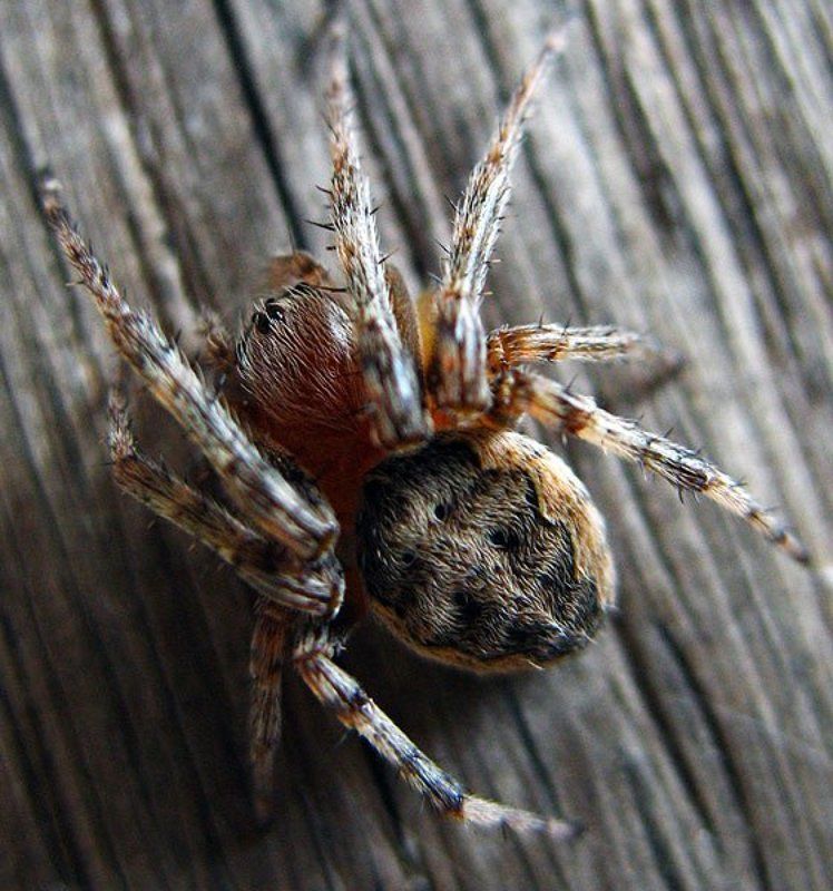 уходит фото превью