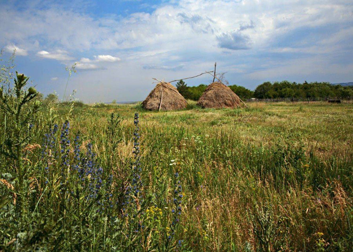 стог, лето, луг, artboogie